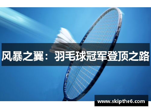 风暴之翼：羽毛球冠军登顶之路